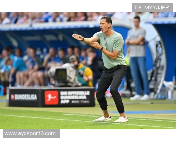 法兰克福正式签约21岁霍芬海姆边锋埃奇古亚布合同有效至2031年6月 法兰克福正式签约21岁霍芬海姆边锋埃奇古亚布合同有效至2031年6月